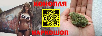 мяу мяу мука Малоярославец